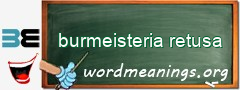 WordMeaning blackboard for burmeisteria retusa